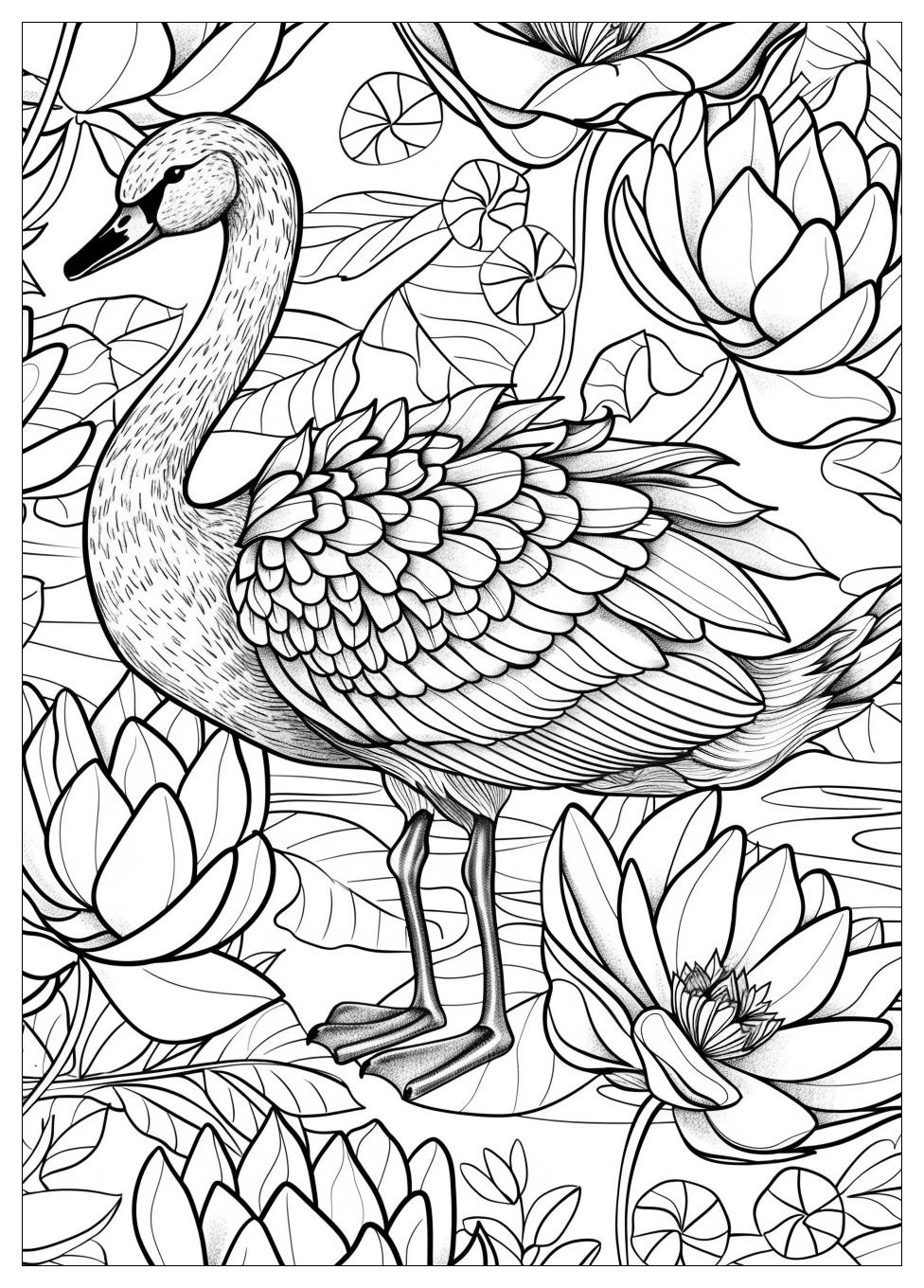 Swan Coloring Pages-13