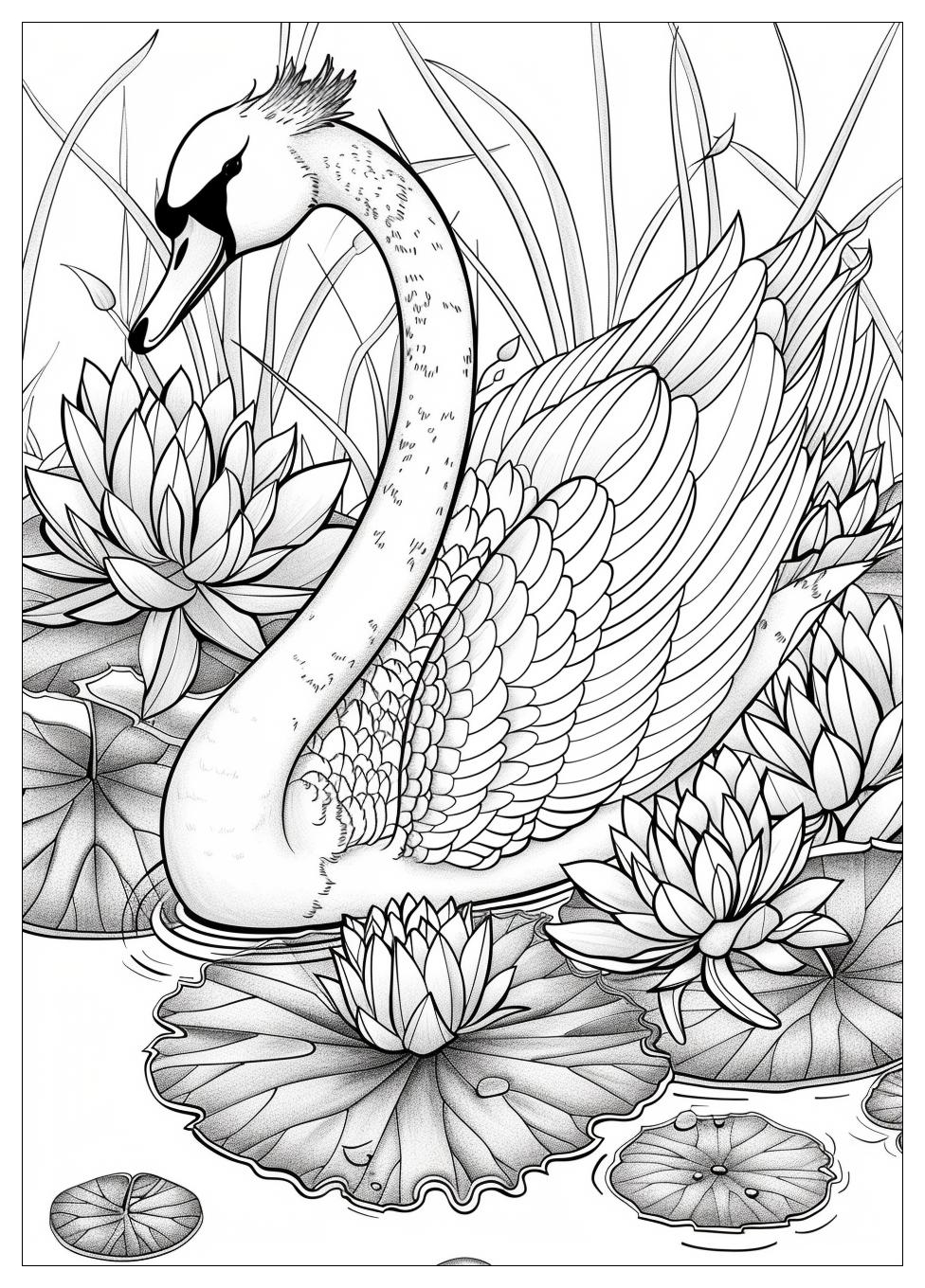 Swan Coloring Pages-15