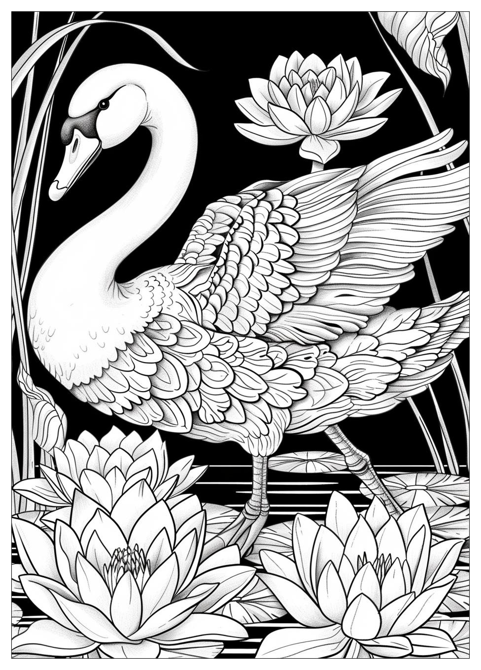 Swan Coloring Pages-19