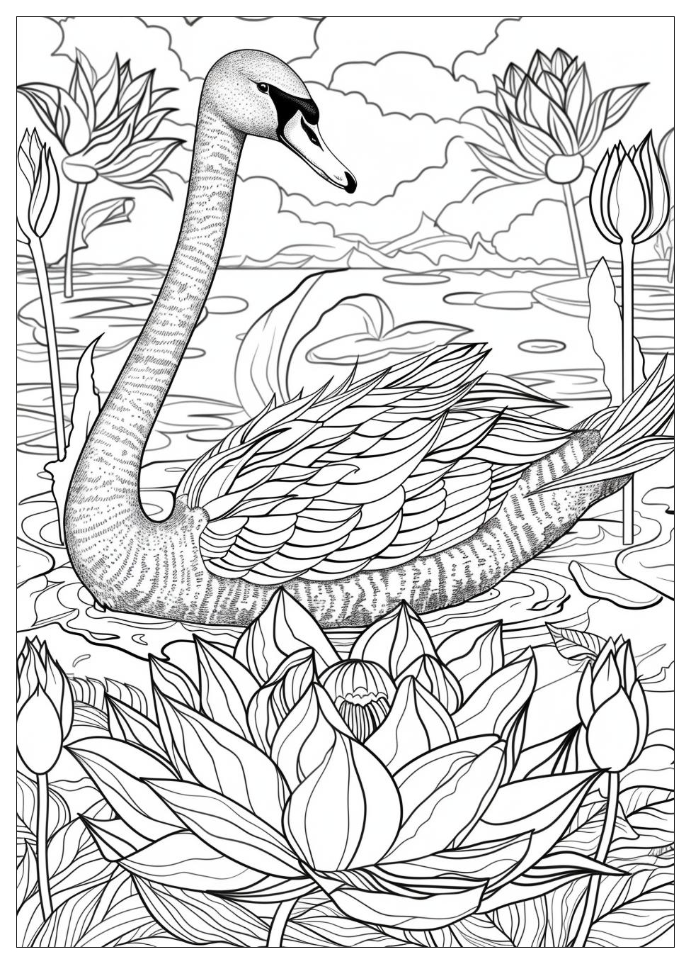 Swan Coloring Pages-20