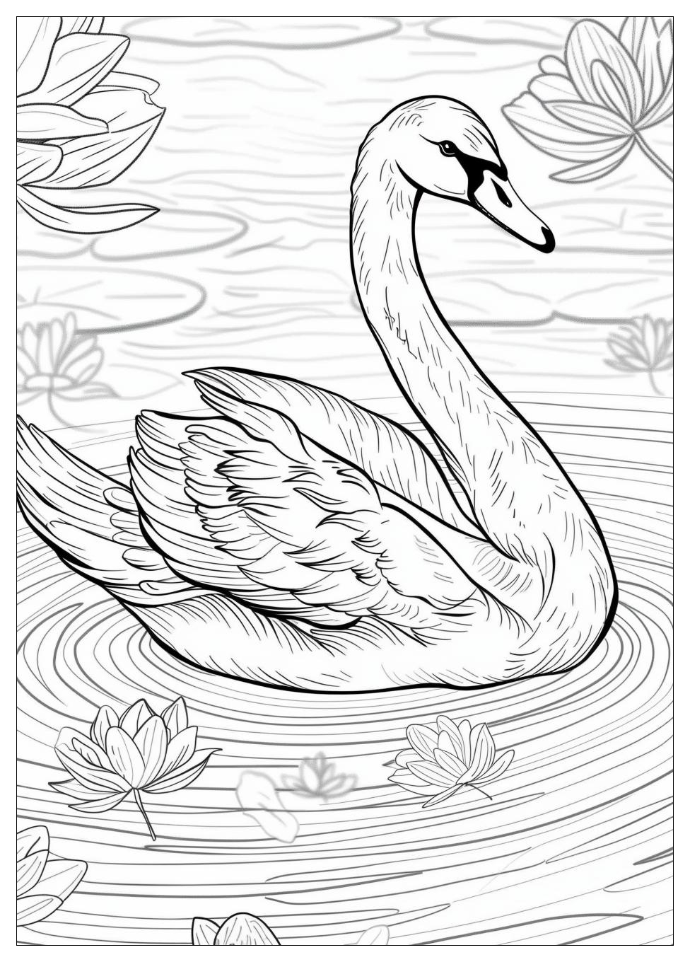 Swan Coloring Pages-3