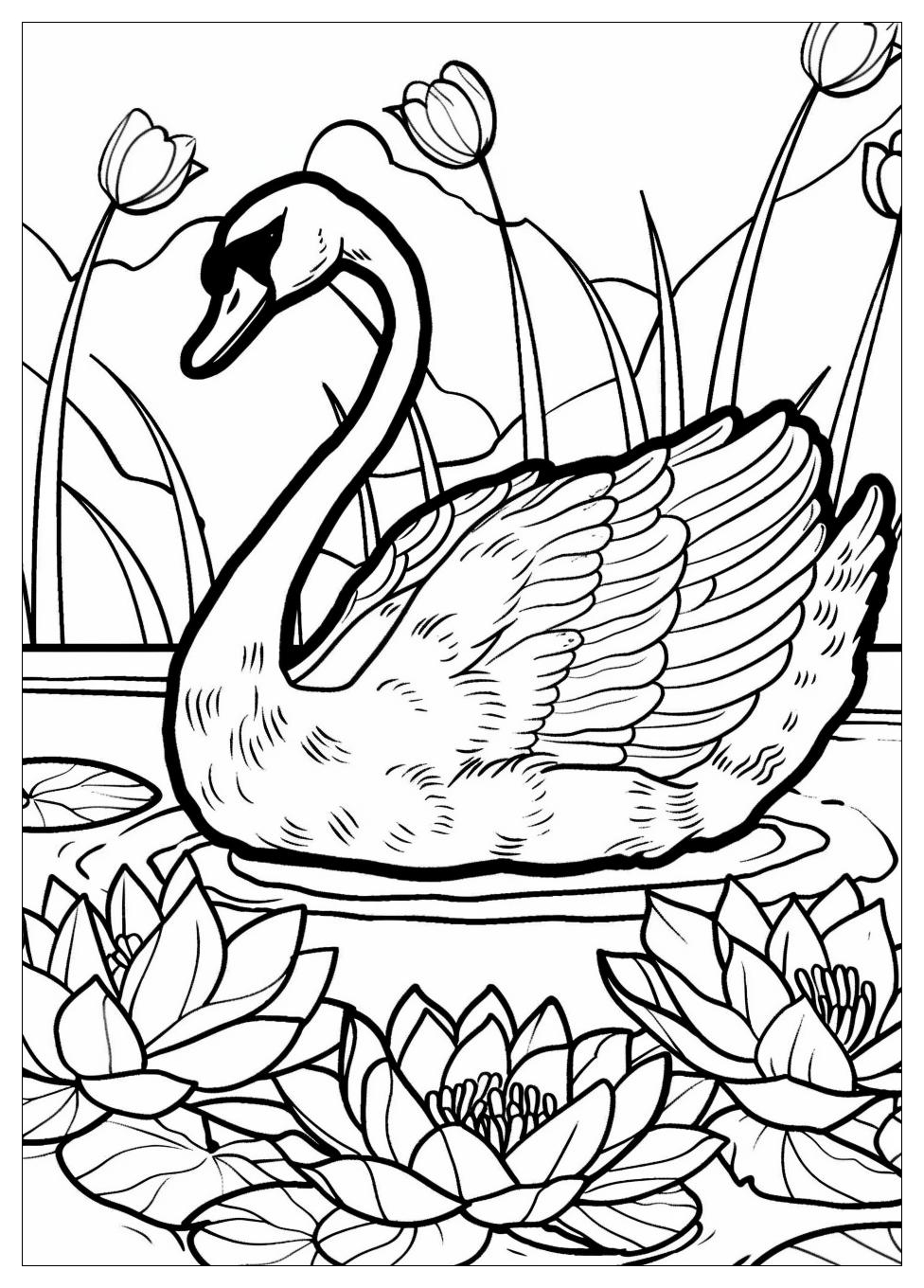 Swan Coloring Pages-4