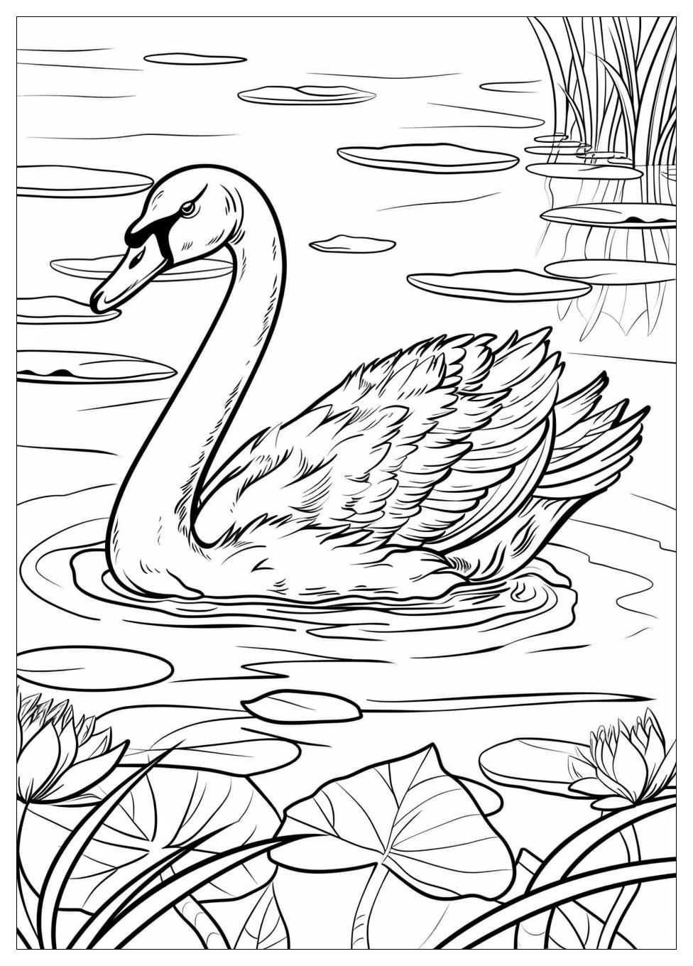 Swan Coloring Pages-5