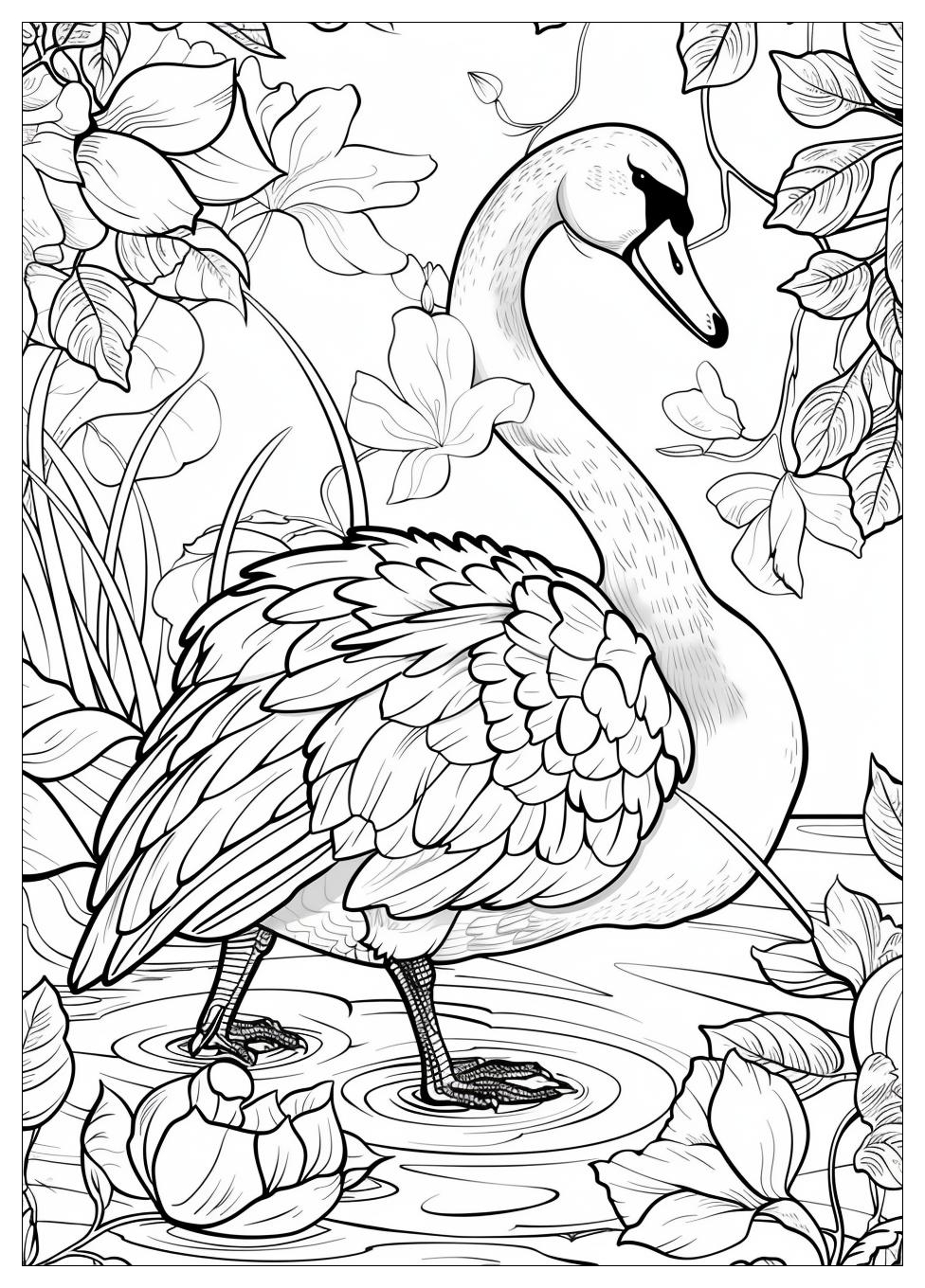 Swan Coloring Pages-6