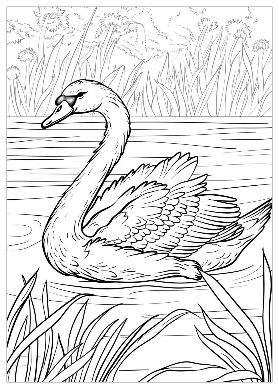 Swan Coloring Pages-7