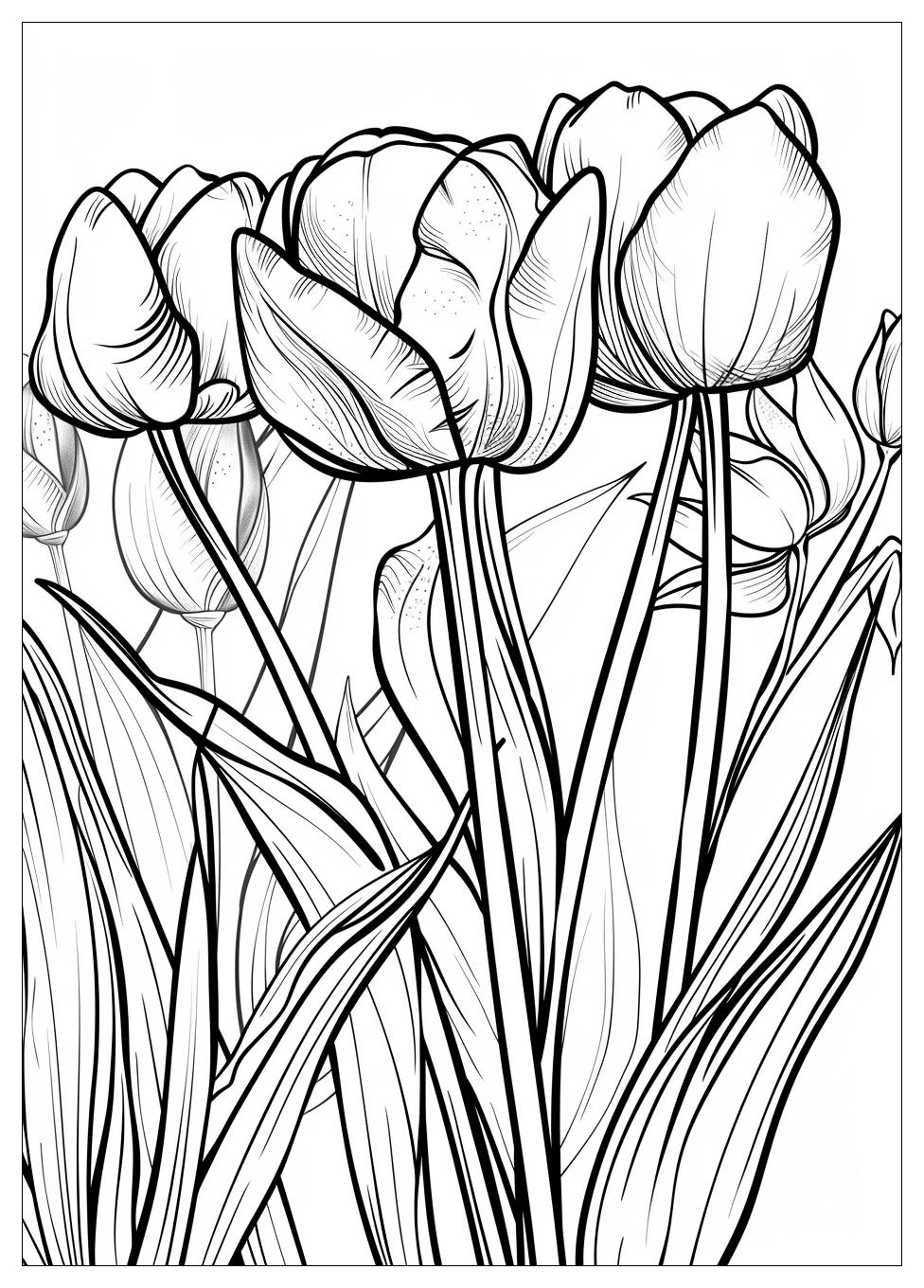 Tulip Coloring Pages-1