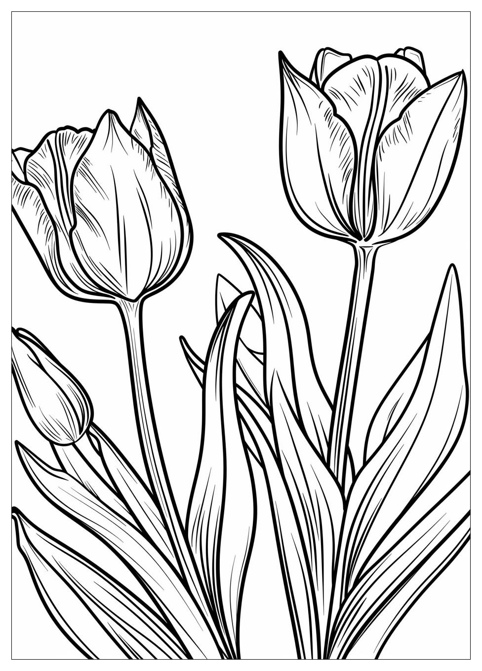 Tulip Coloring Pages-12