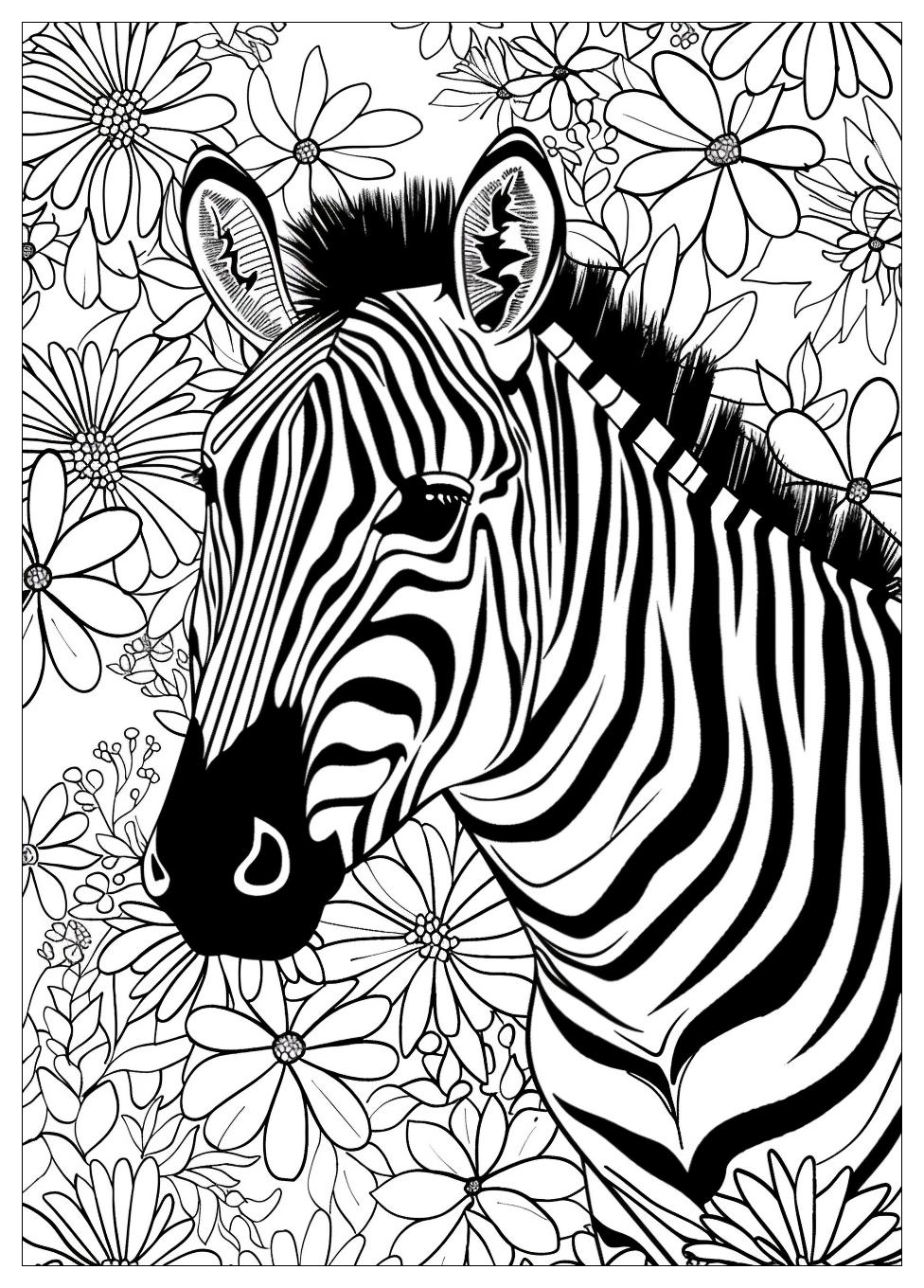 Zebra Coloring Pages-17